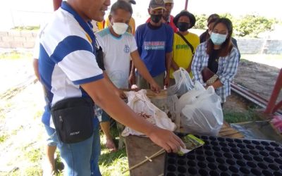 PSU-Sta. Maria distributes vegetables seedlings, trains NIA assoc members on vegetable propagation