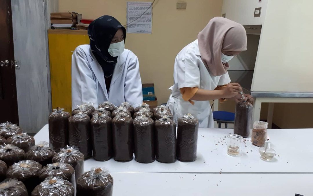 Two Indo students undergo internship at PSU-SM Mushroom Center