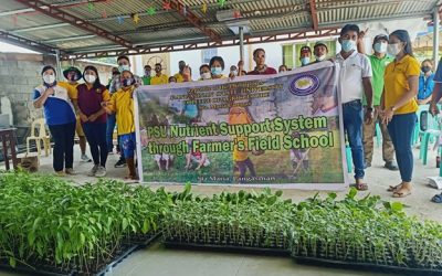 PSU NUTRIENT SUPPORT SYSTEM THROUGH FARMER’S FIELD SCHOOL
